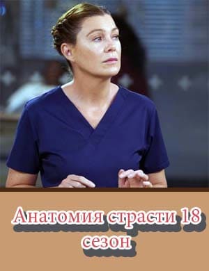 Анатомия страсти 18 сезон Анатомия страсти 18 сезон