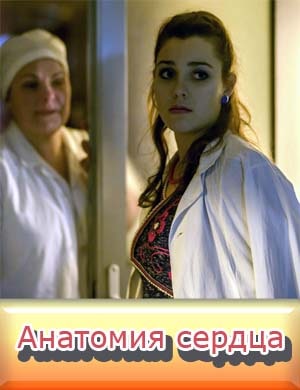 Анатомия сердца