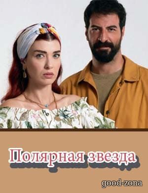 Полярная звезда Полярная звезда